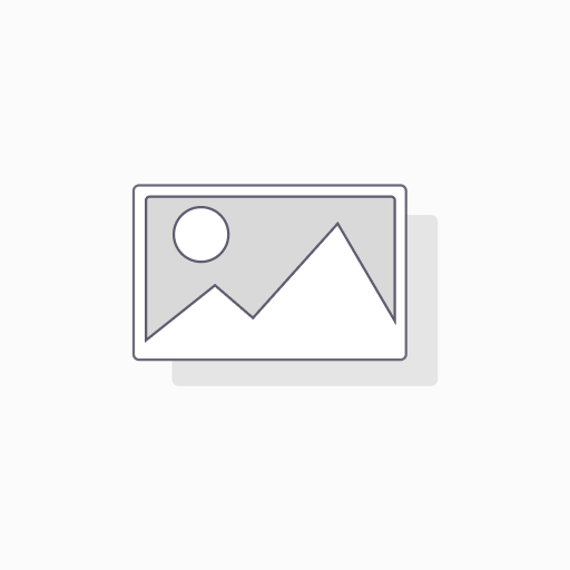 Servidor Odoo Comunitario v18 1 Año